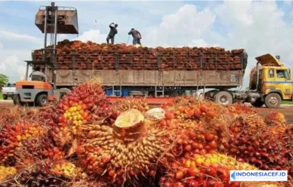 ekspor kelapa sawit