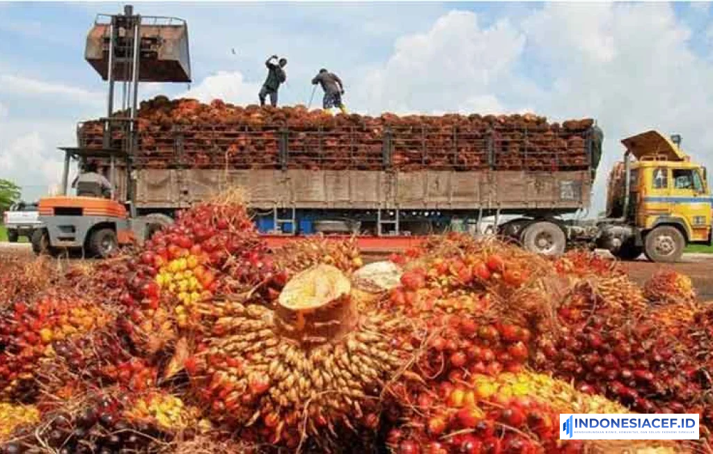 ekspor kelapa sawit