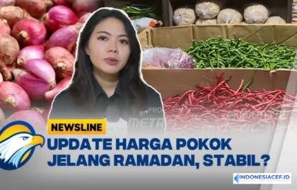 harga cabai rawit stabil