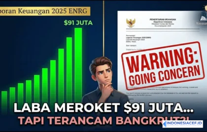 laporan keuangan emiten