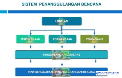 sistem penanggulangan bencana
