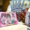 stabilkan rupiah mahal